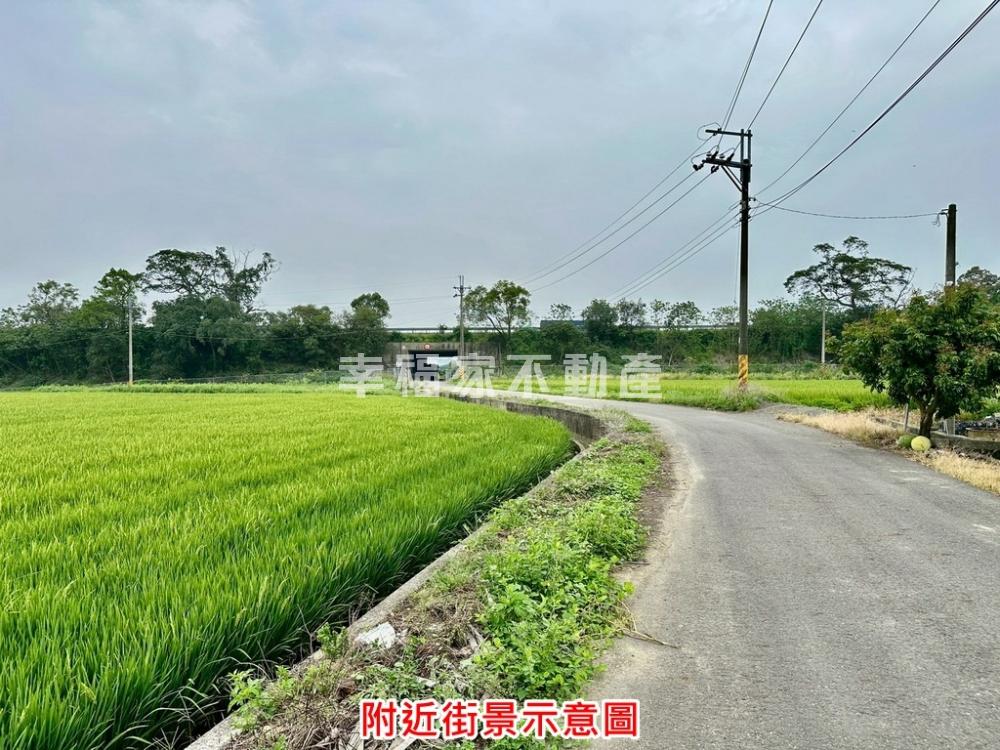 善化東勢寮1129坪美農地