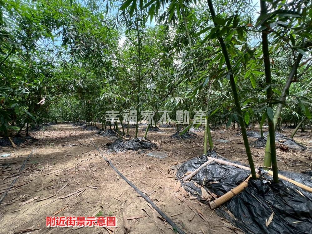 白河觀光服務專用地2