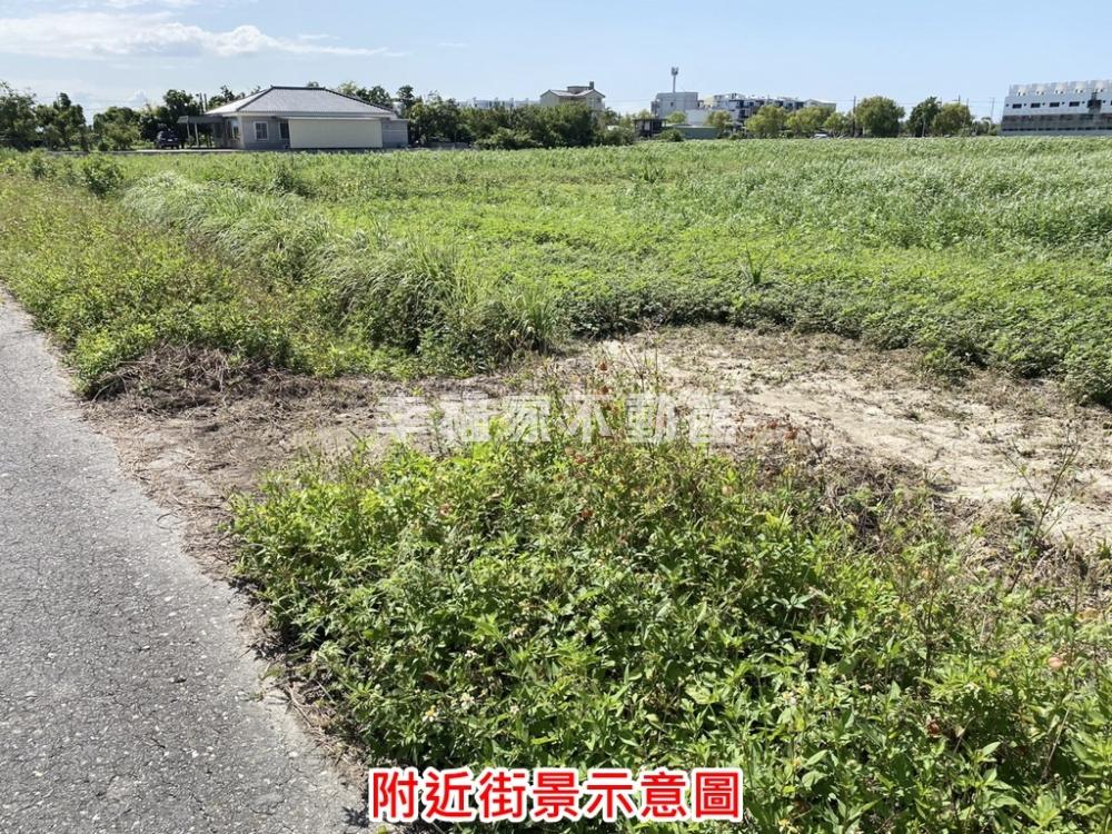 專-七股7.3分大面寬美田