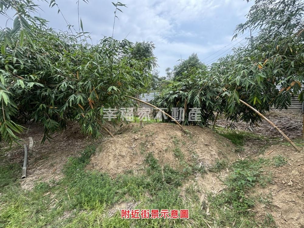 近交流道埤子頭農地