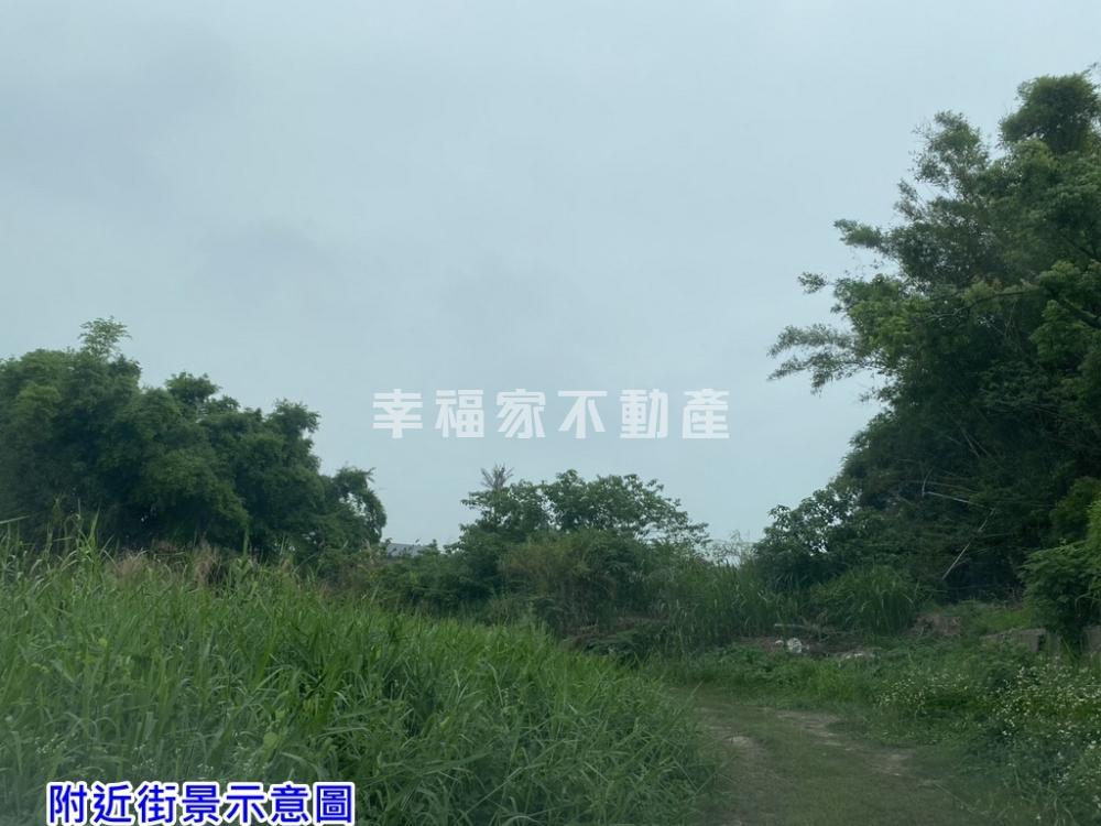 專-白河潛力區低總價一般農