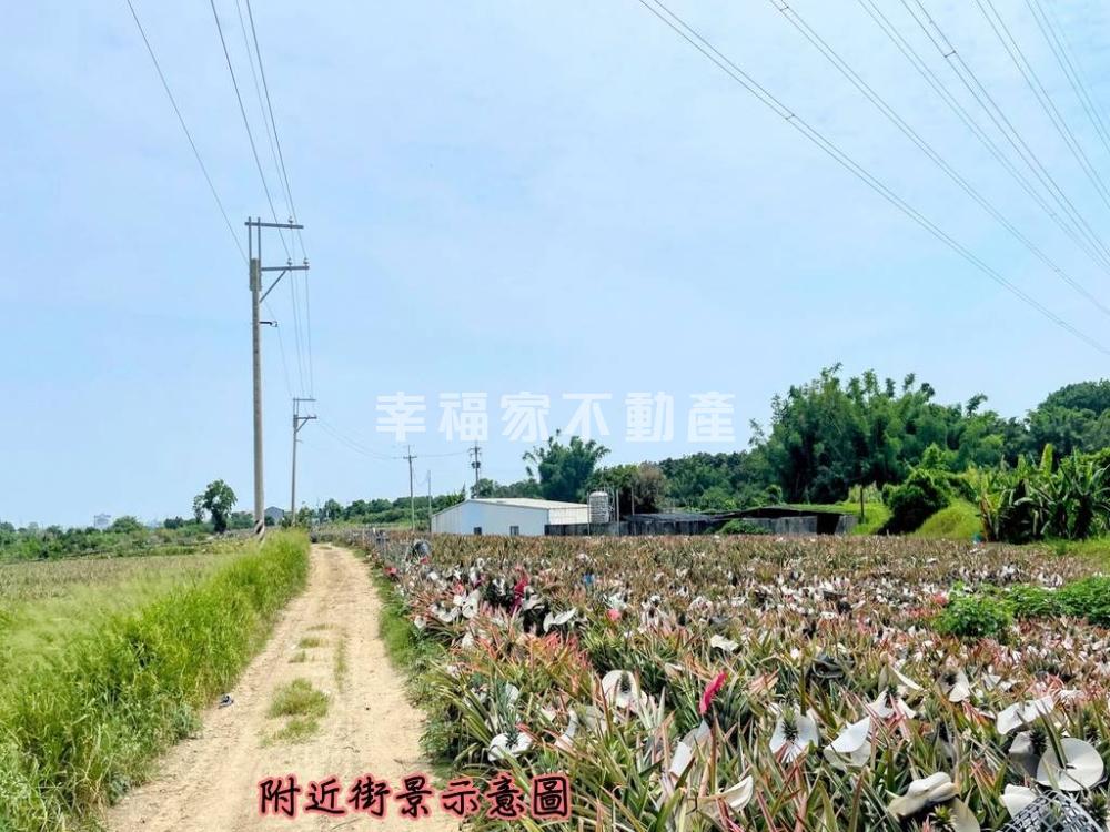 關廟埤頭段便宜美農地