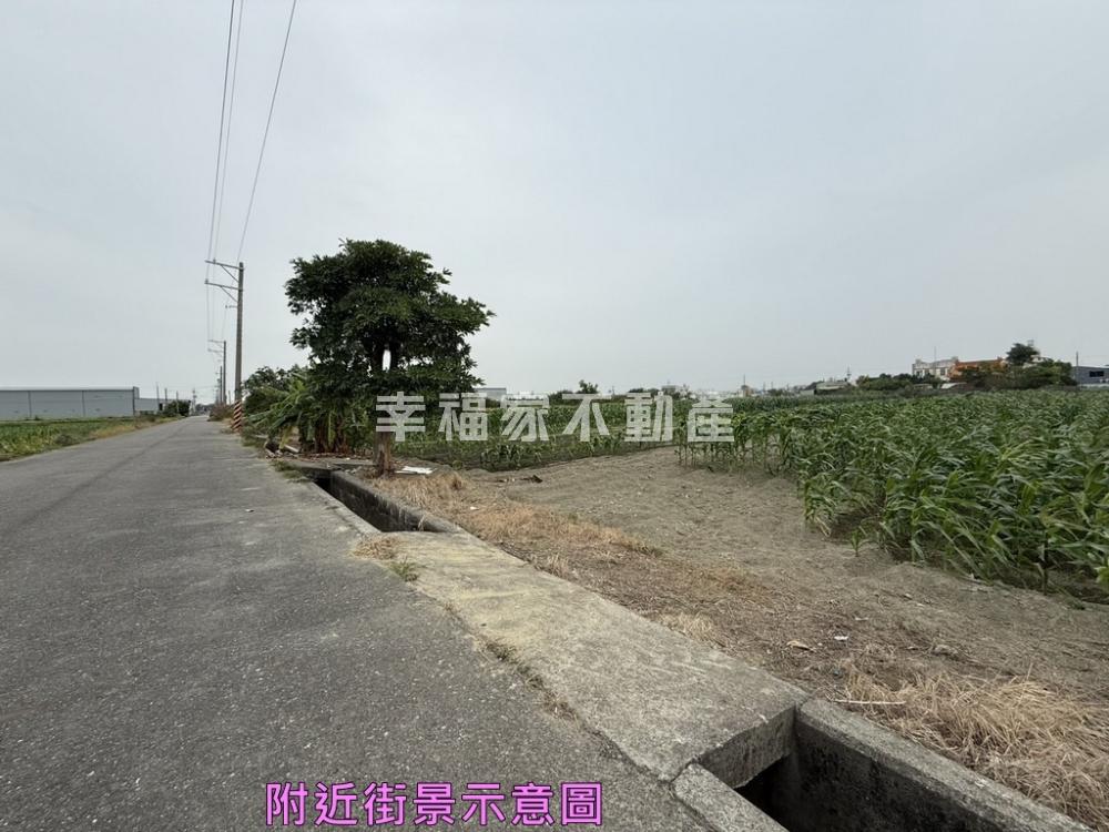 安定795坪美農地(有電)