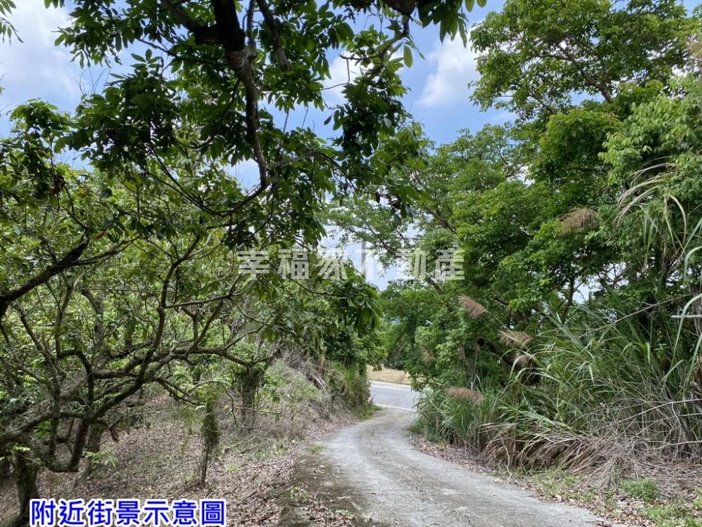 專-東山175低單價農保地