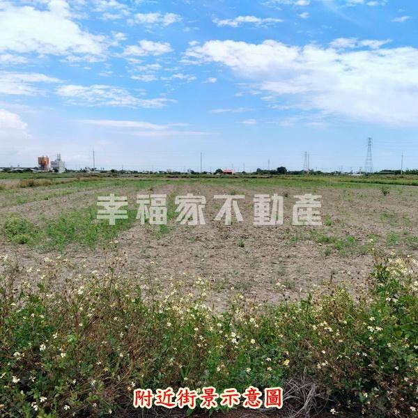 學甲大灣重劃區旁農地B