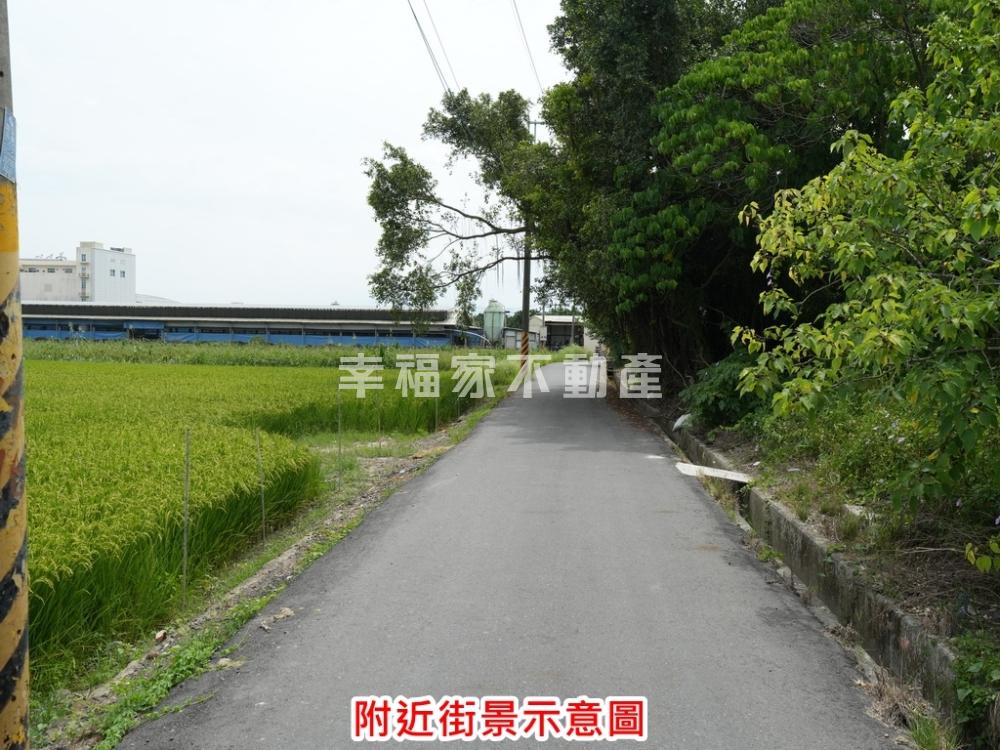 麻豆合法資材室文旦園
