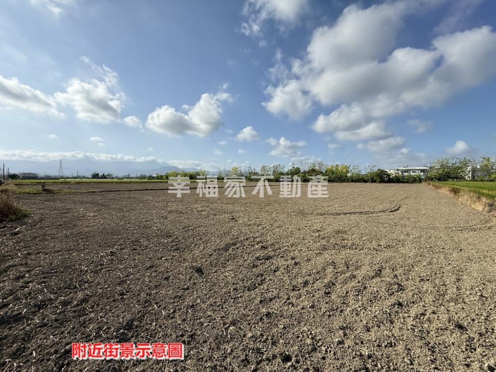 近白河木棉花道玉豐農地