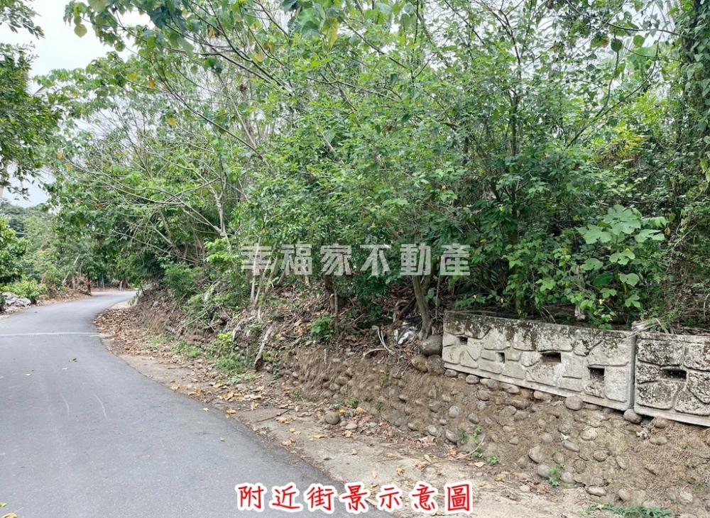 芒果故鄉2413農地