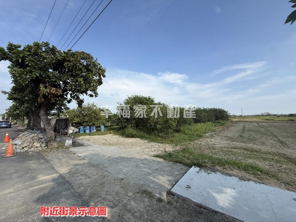 佳里大馬路小小農有柚子
