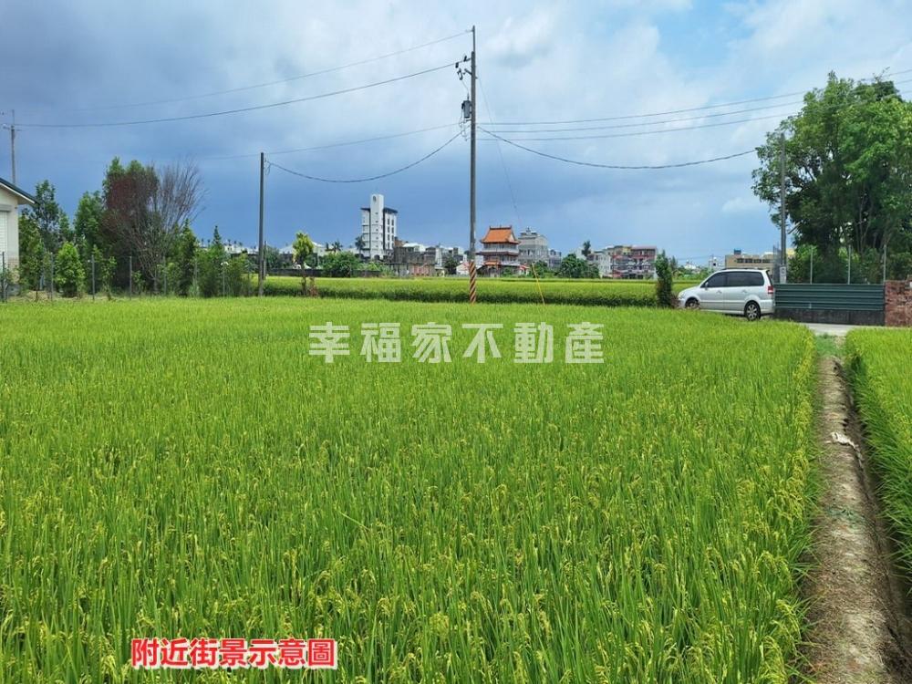 柳營市區旁美極了都內農地