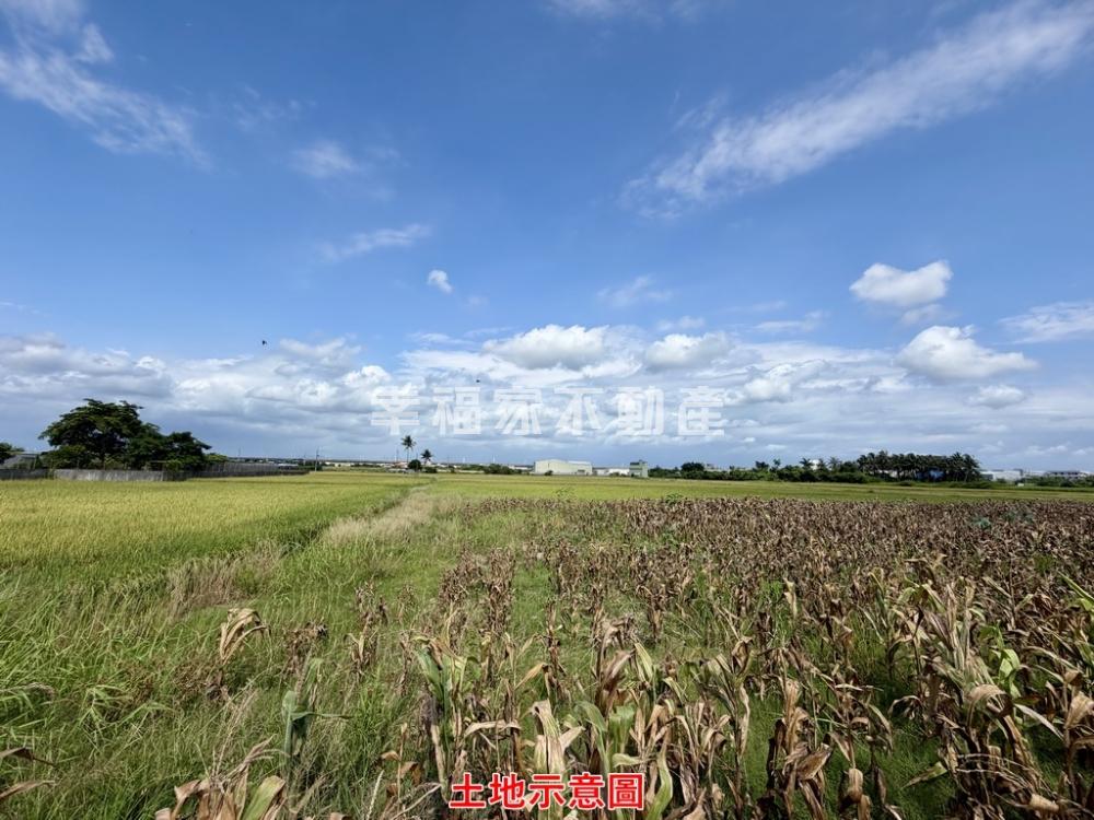 仁德方正都內農地884坪