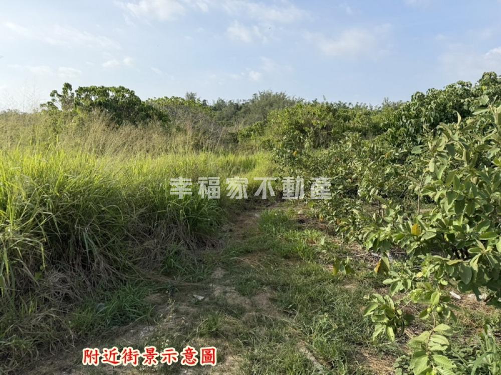 大內近頭社交流道6分半農地
