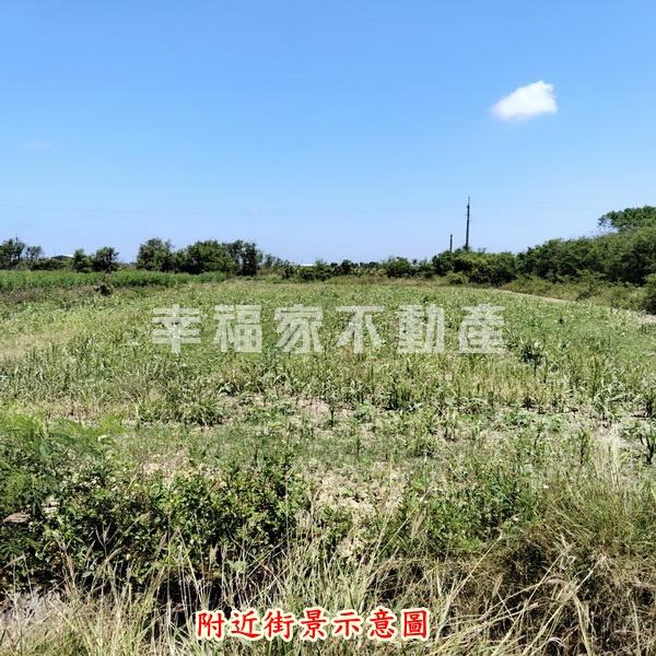 將軍前後路1分9農地