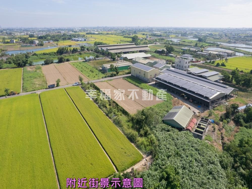 六甲林鳳營美的冒泡柚子園