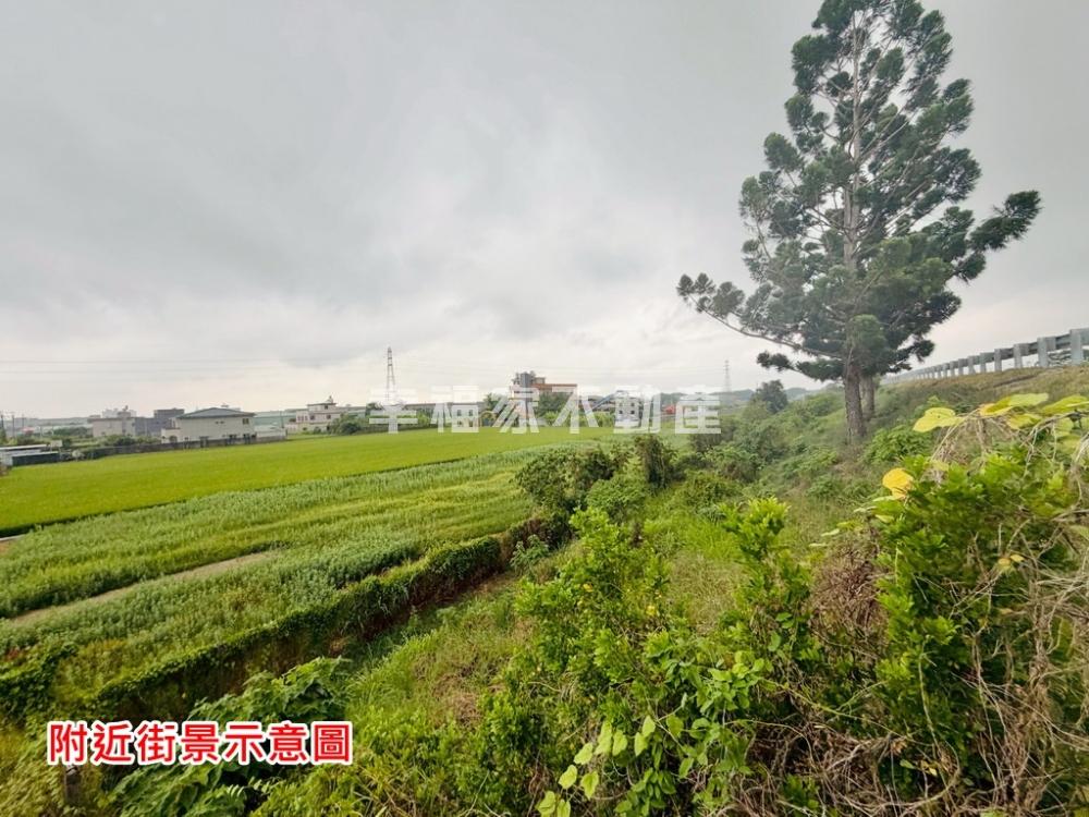 新化751坪近市區開心農地
