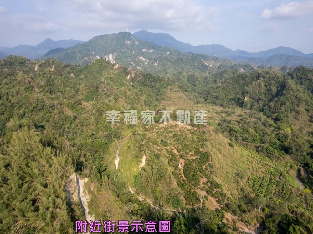 白河關子嶺低總價大地坪農地