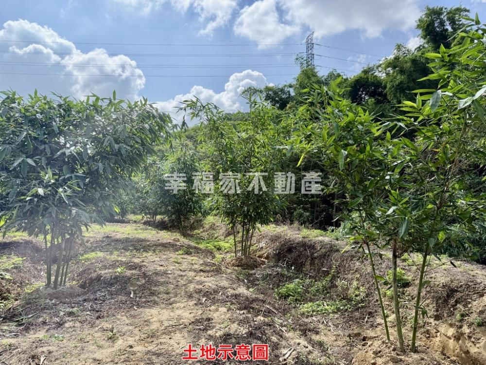(專)龍崎低總價5分地