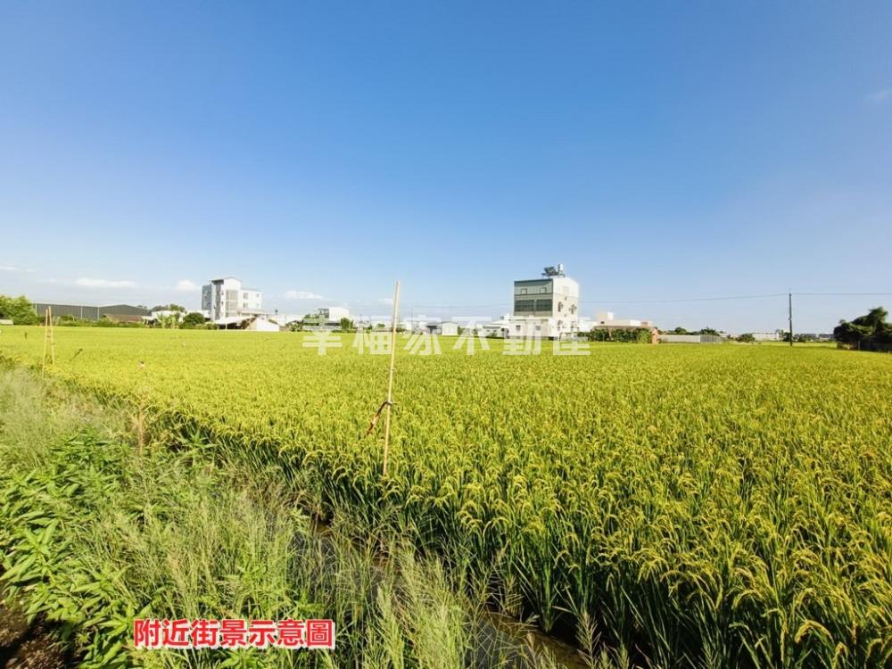 柳營朝南514坪都內農地