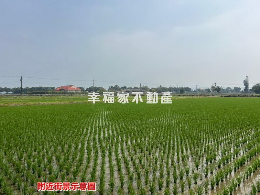 白河大面寬方正6分美田