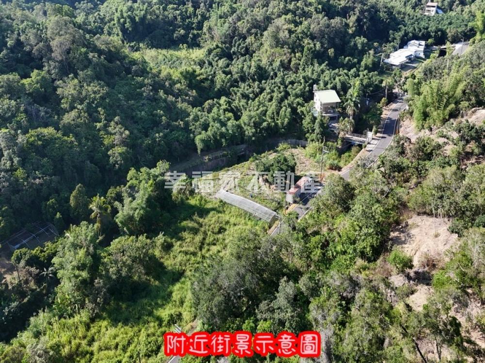 近義大世界可農保低總價農地