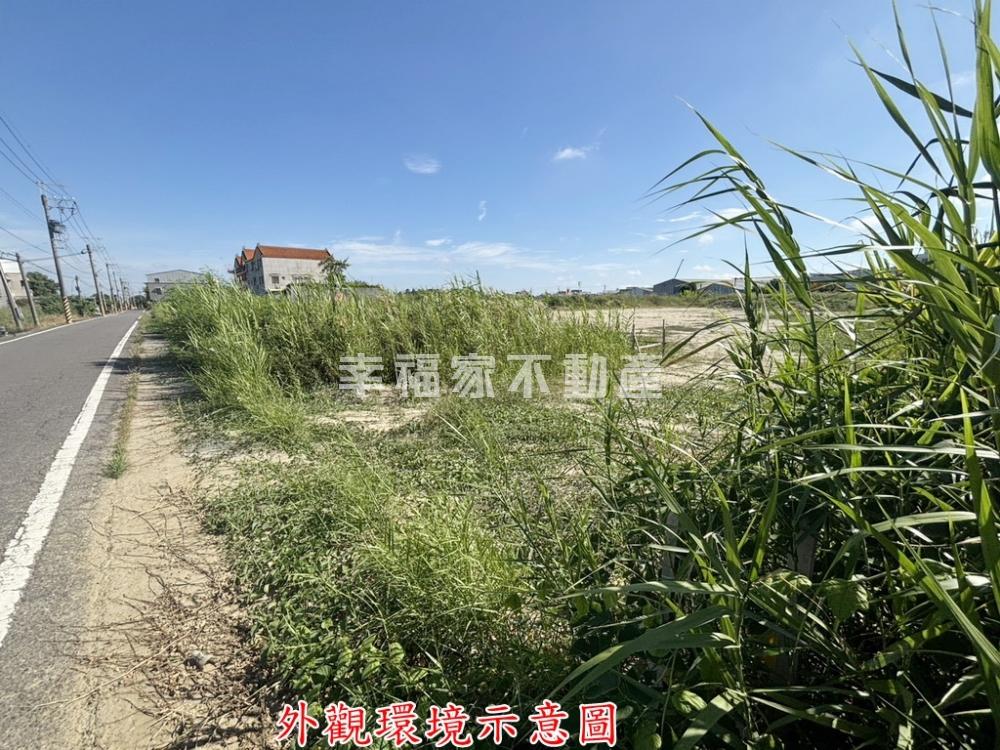 佳里臨路百坪農地