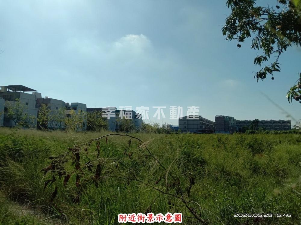新市大社優質農地非買不可