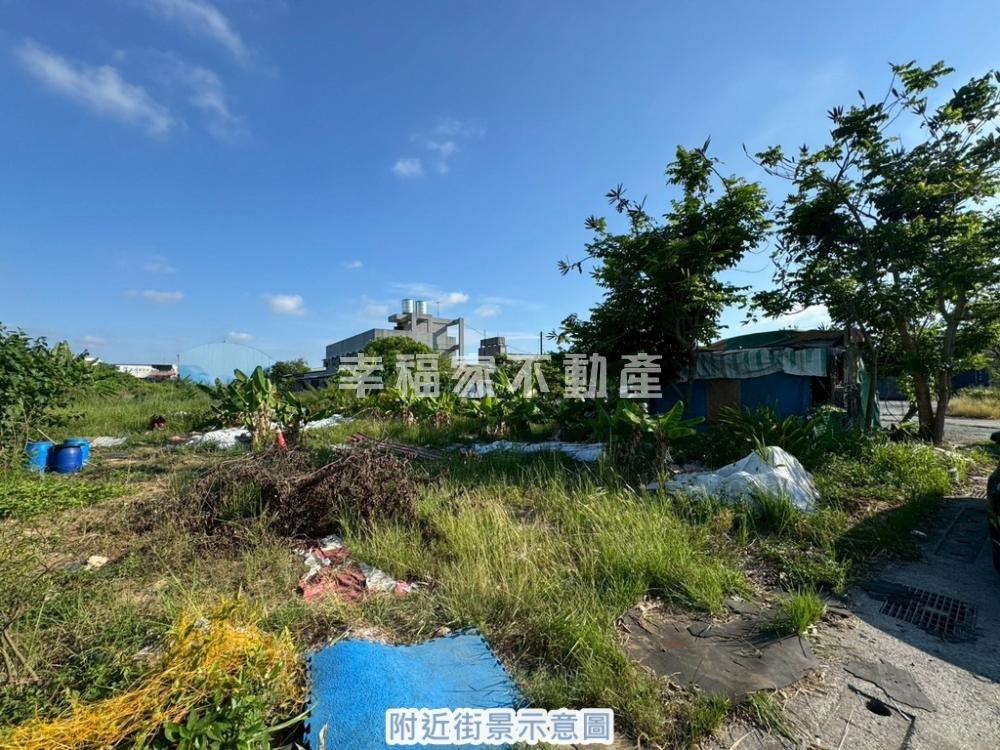 大灣臨路方正美農地