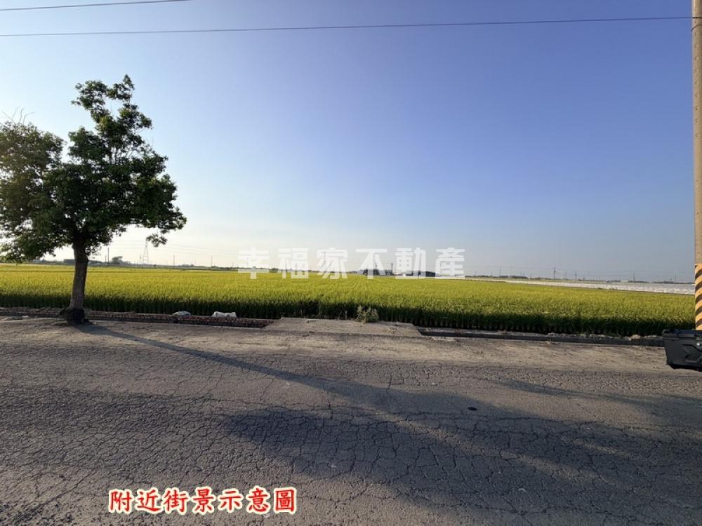 鹽水938坪方正農地
