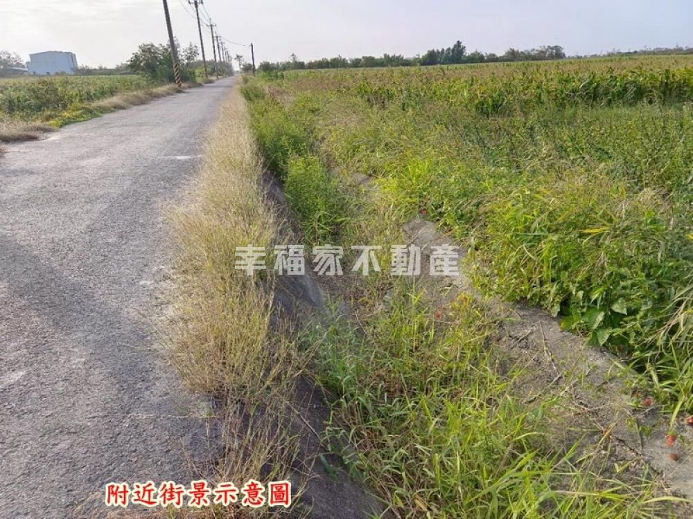 將軍3分前後有路農地