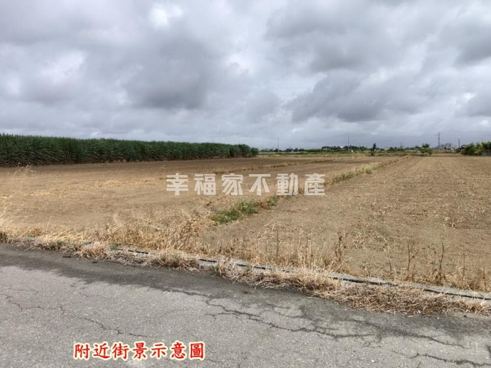 佳里5米路必賣農地