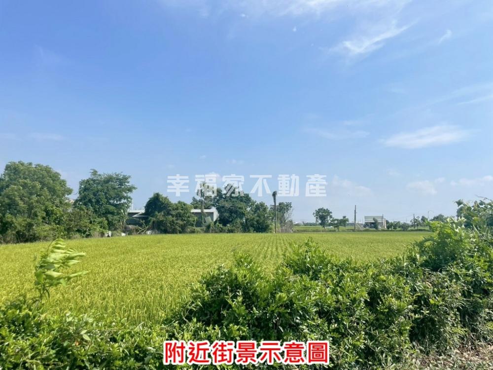 專. 優雅鄉村乙建