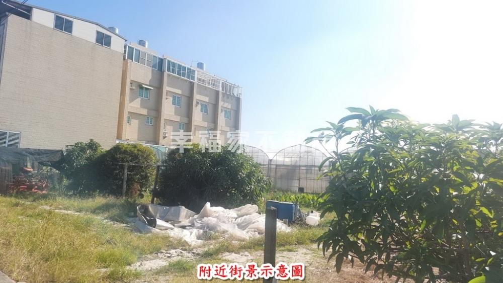 新市大洲社區旁美農地1