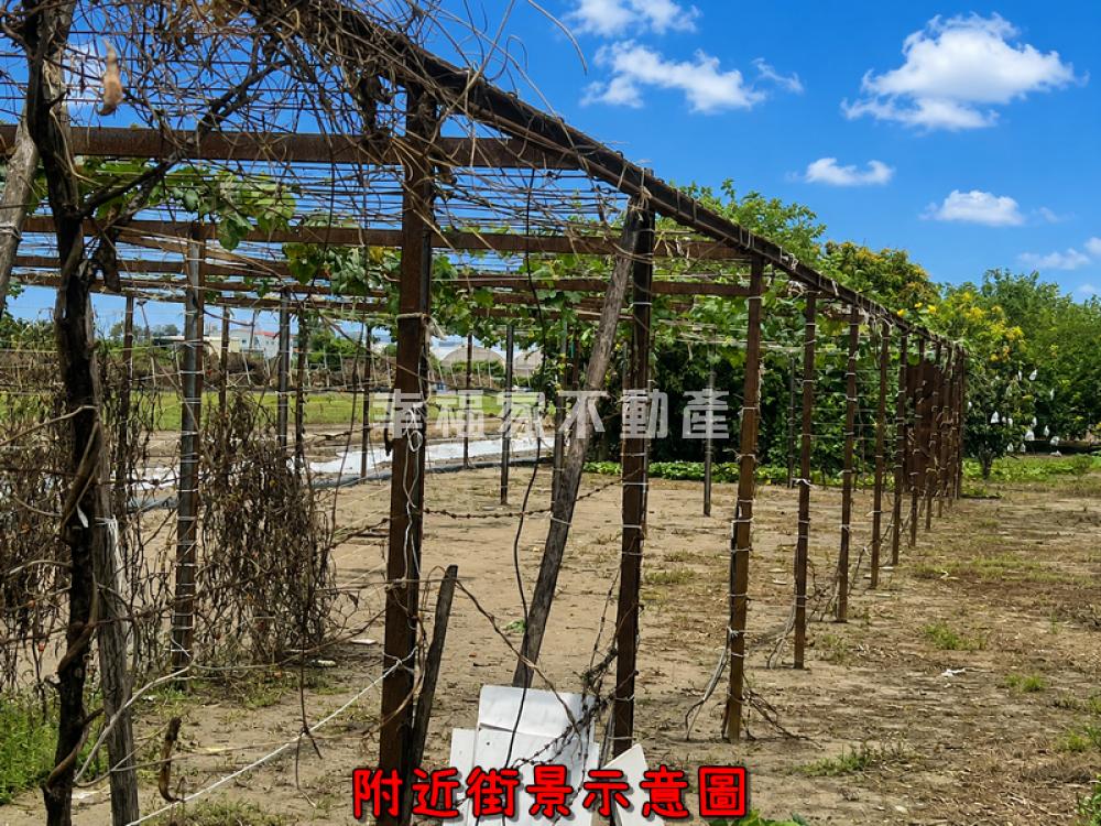 公學路近新吉持分農地