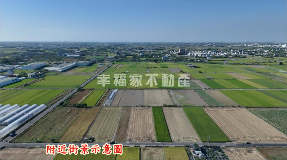佳里子龍黃金農地