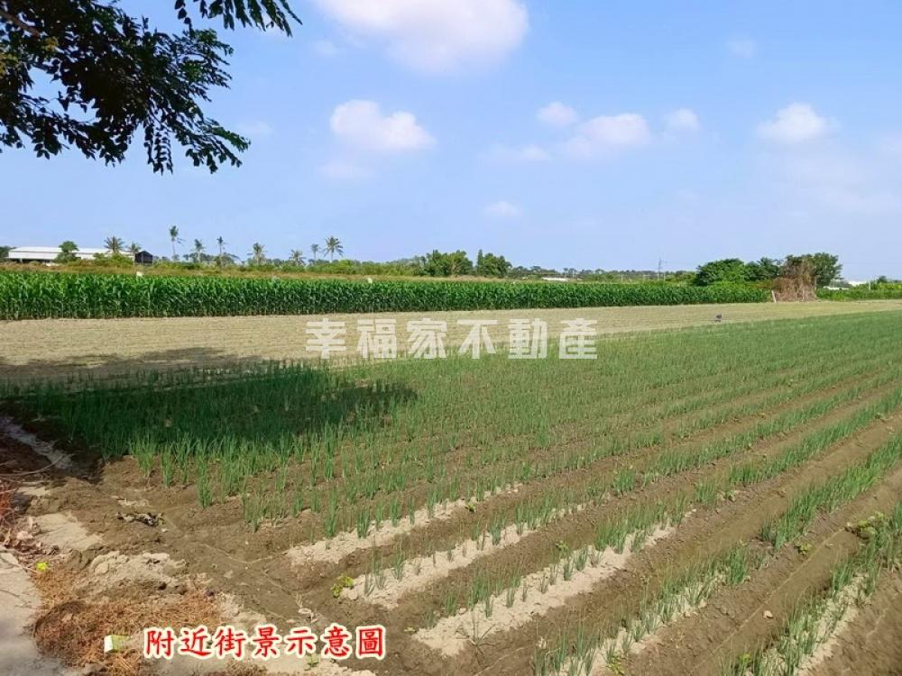 安定海寮1分3農地