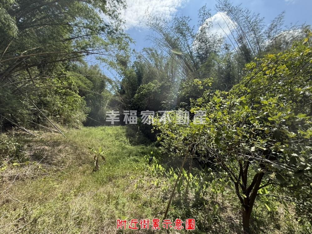 玉井便宜臨路大農地