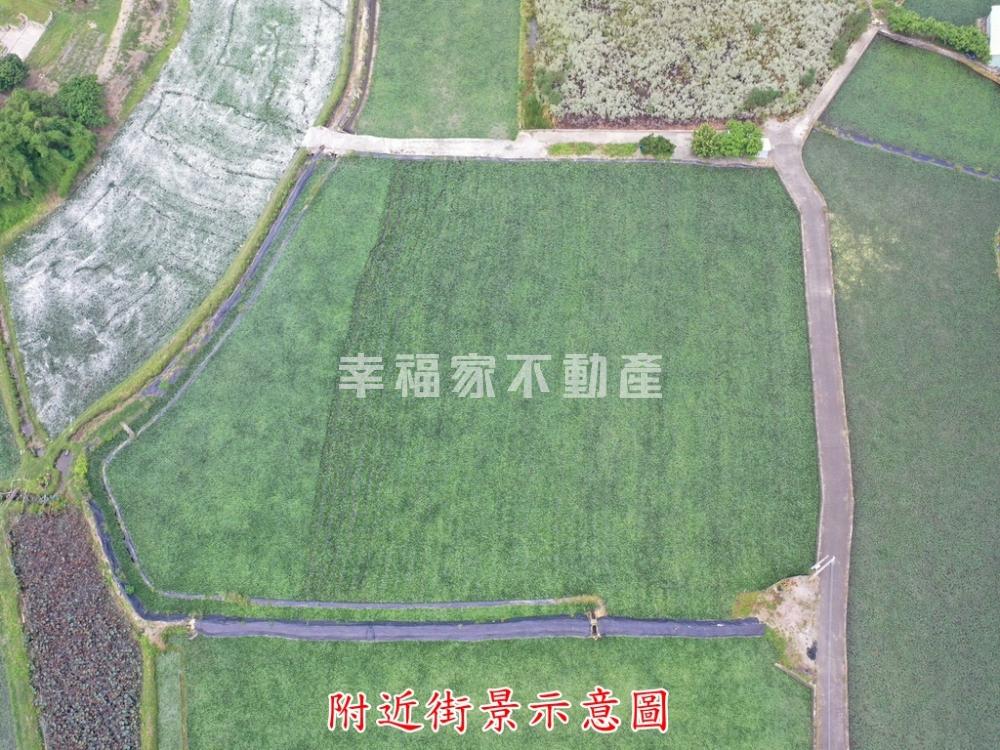 有水有電_6.9分農地