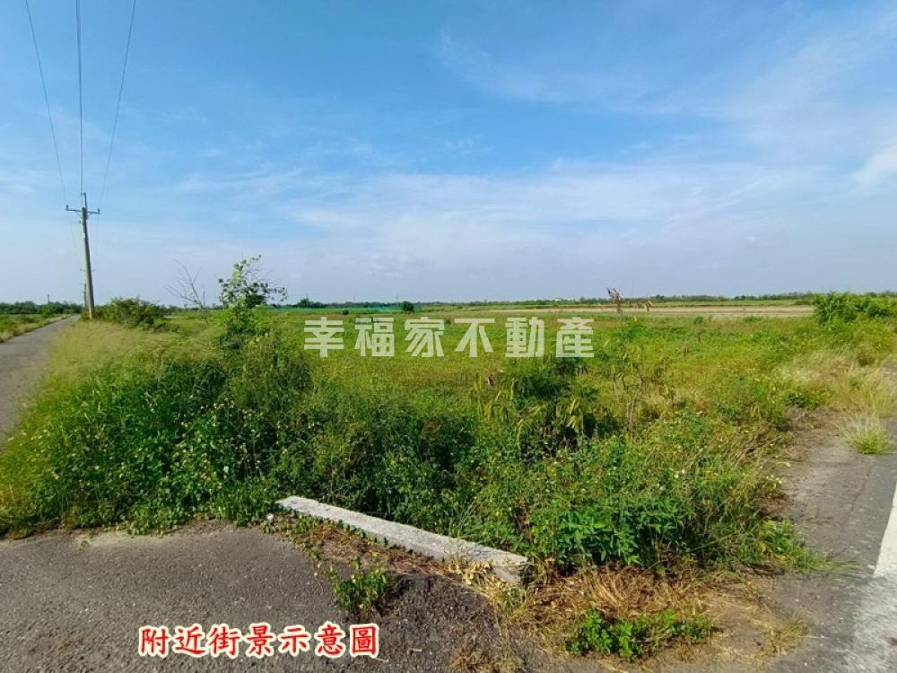 將軍區2分3雙面路農地