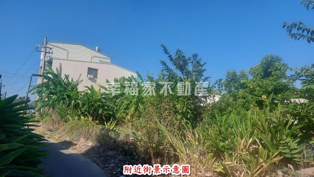 新市大洲持分低價農建地