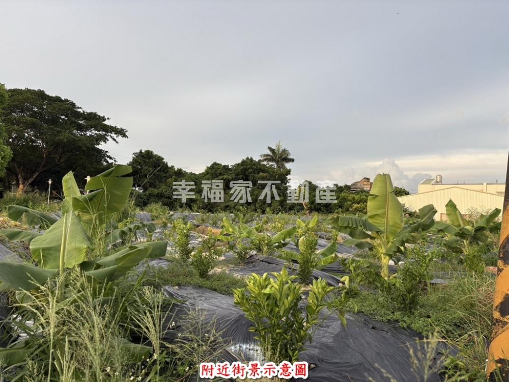 新市大營段斡發了一般農地