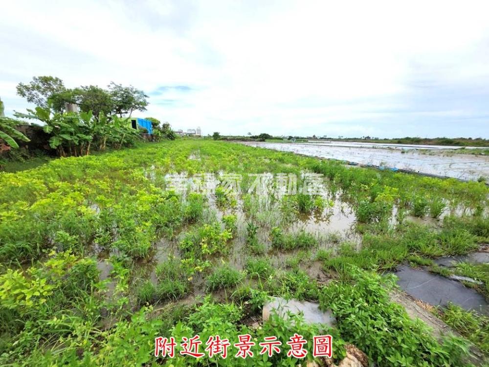 台南農地安南青草段都內農地