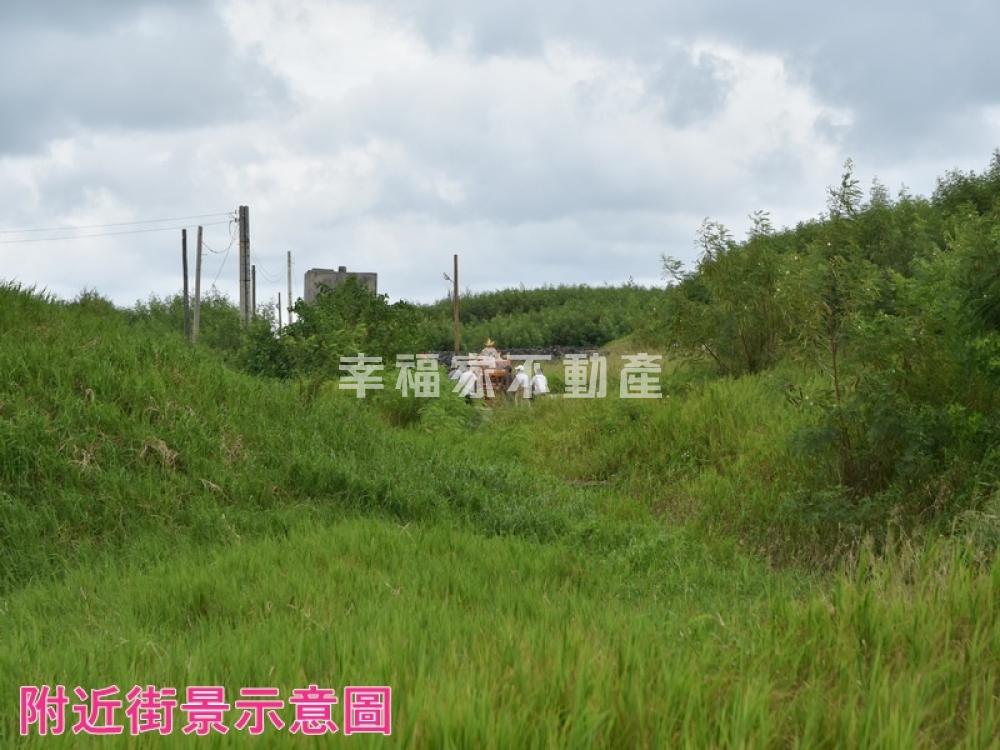 澎湖湖西鄉152美農地