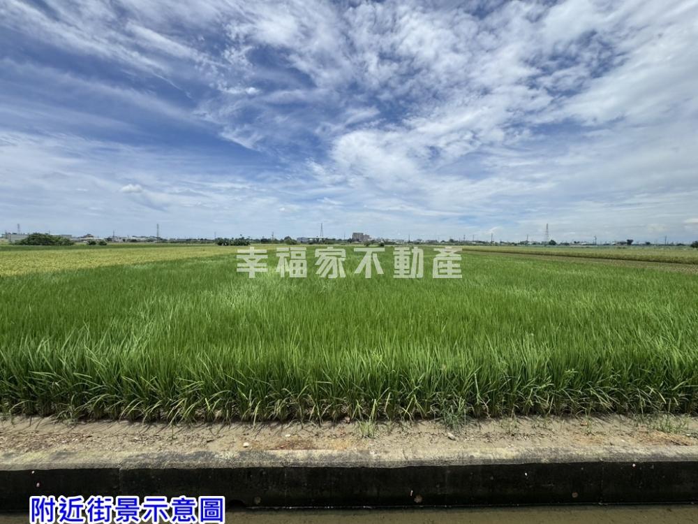 佳里子龍1.5方正美農