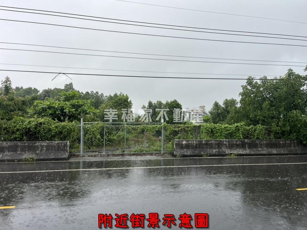 大內20米路旁大面寬一般農