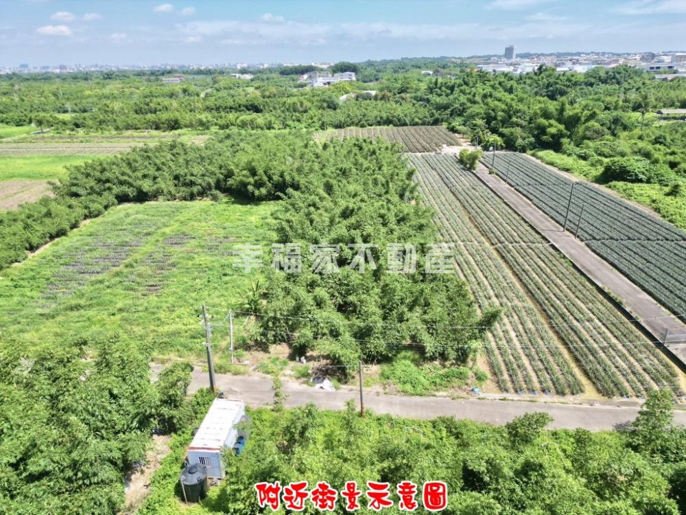 關廟近高鐵有水電美農地