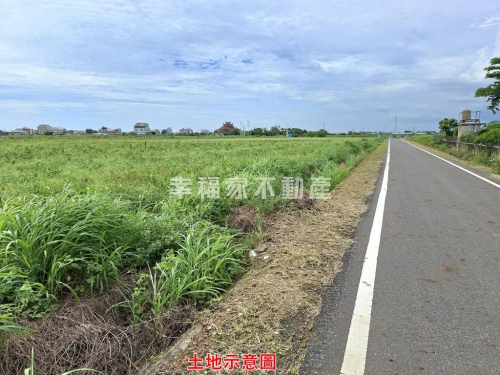 佳里興6.1分有電美農地