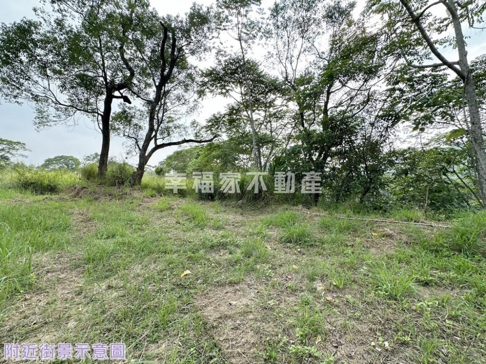 楠西地勢平坦好利用農地