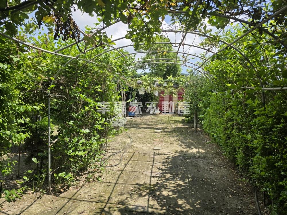 專歸仁正保大路旁大面寬特農