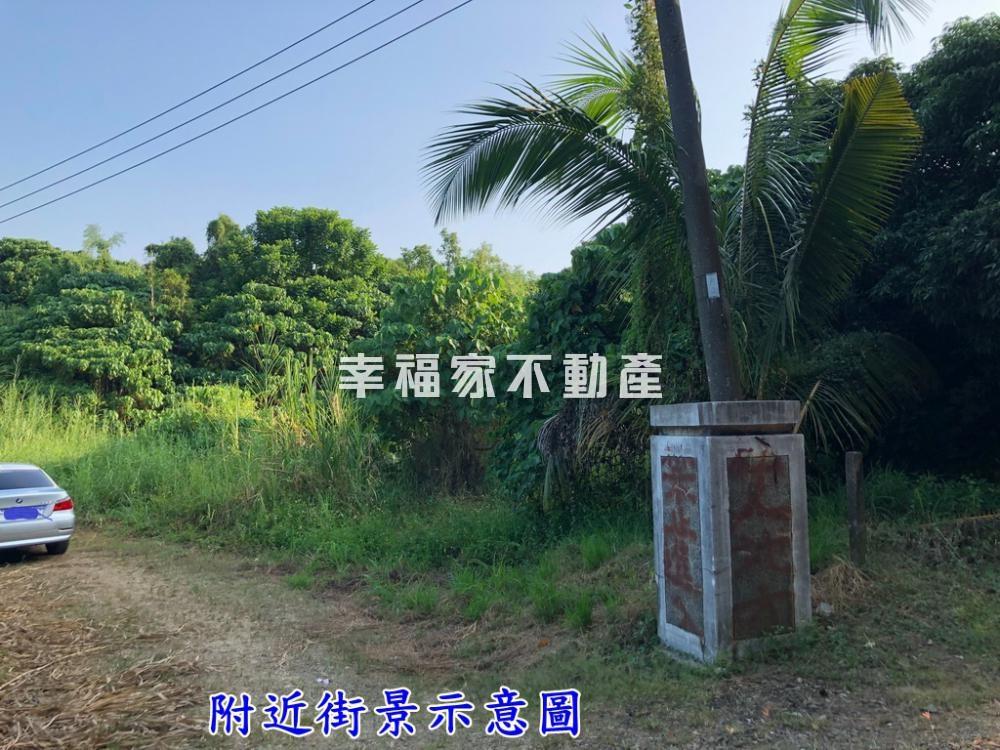 關廟埤子頭平坦農地
