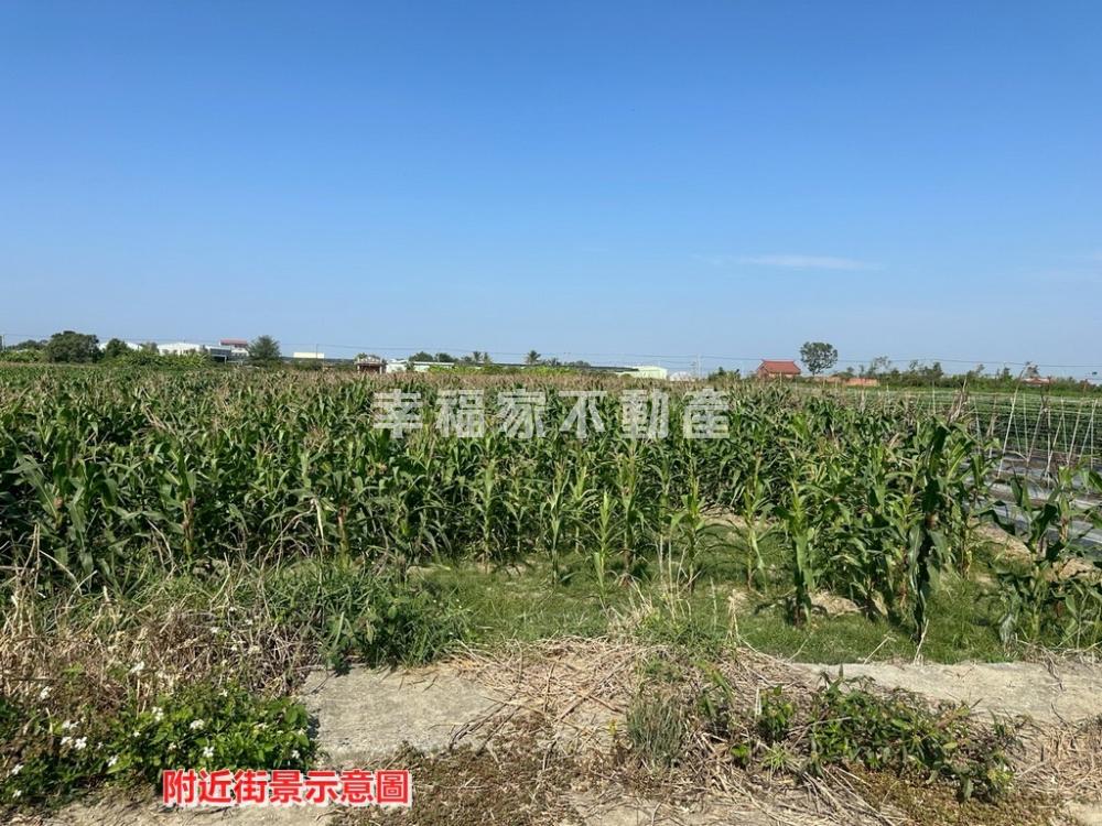 鹽水飯店美農地
